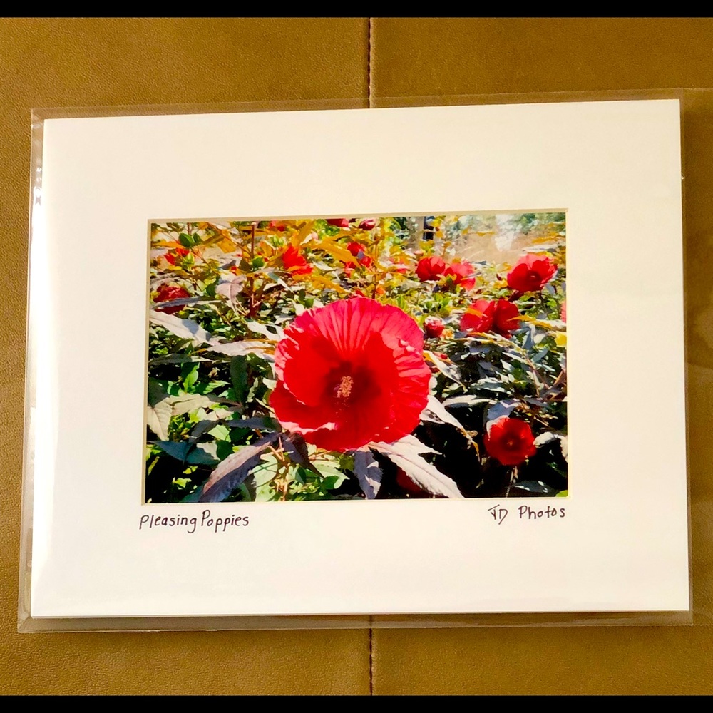 Matted Digital Photo: “ Pleasing Poppies”